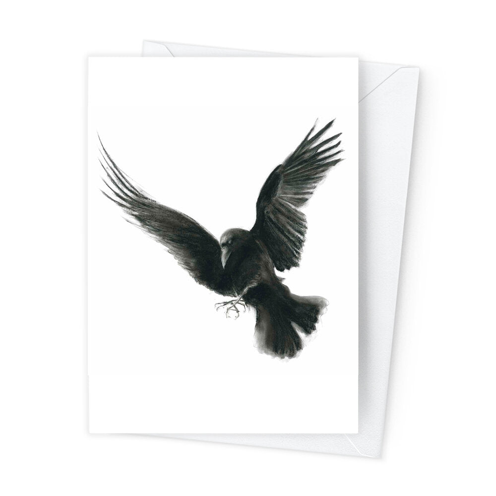 Páipéar Cards - Canadian Birds Box Set of 12